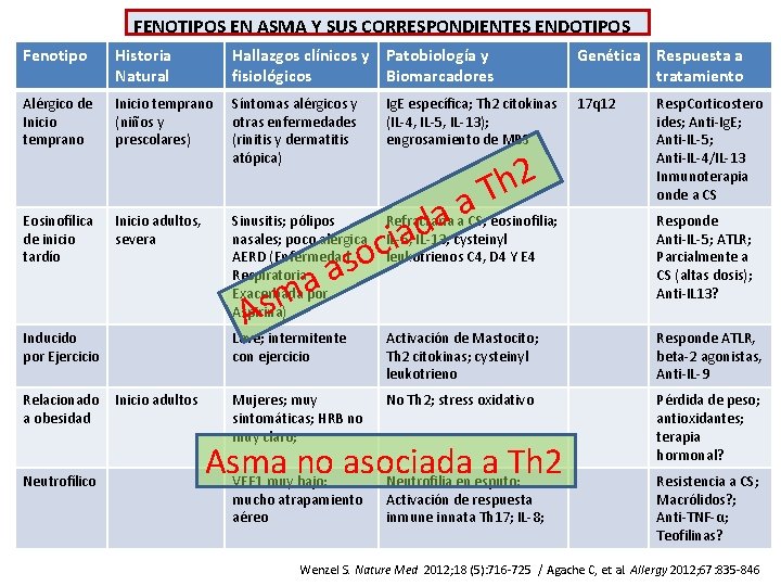 FENOTIPOS EN ASMA Y SUS CORRESPONDIENTES ENDOTIPOS Fenotipo Historia Natural Hallazgos clínicos y Patobiología