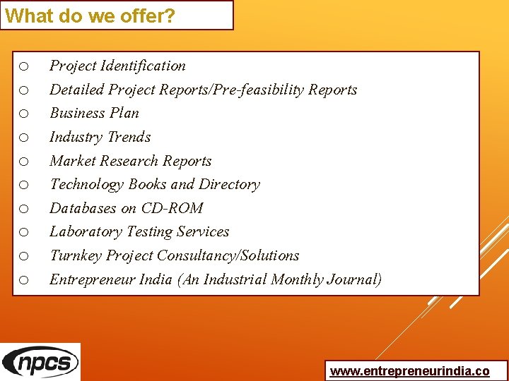 What do we offer? o o o o o Project Identification Detailed Project Reports/Pre-feasibility