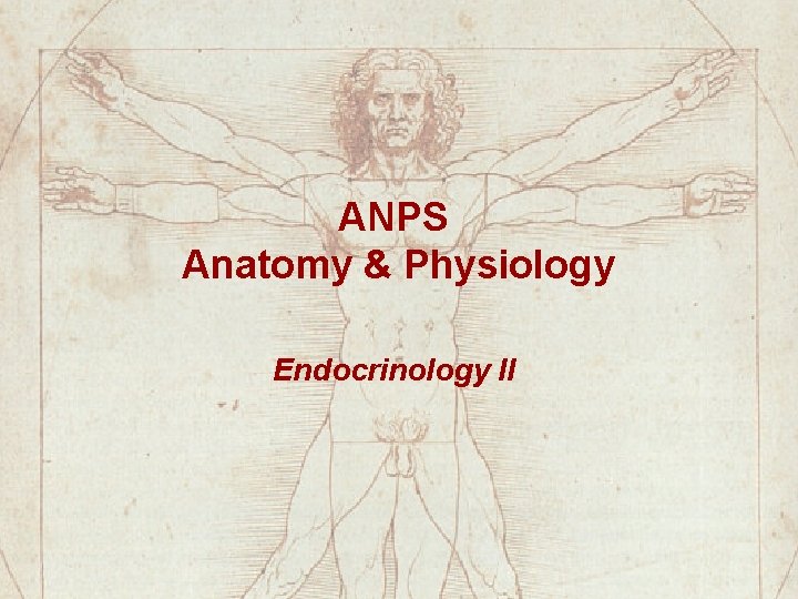 ANPS Anatomy & Physiology Endocrinology II ANPS Anatomy & Physiology Endocrinology II