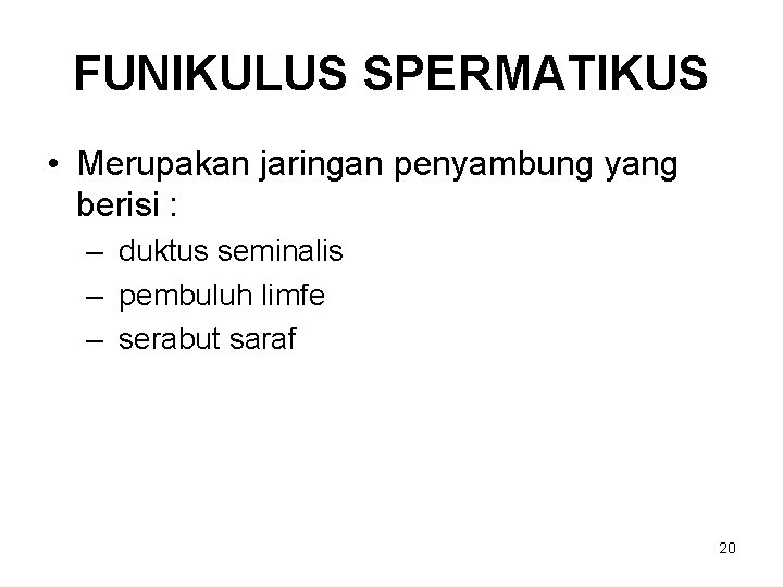 FUNIKULUS SPERMATIKUS • Merupakan jaringan penyambung yang berisi : – duktus seminalis – pembuluh