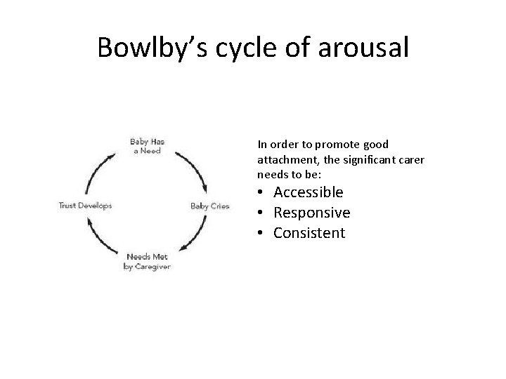 Bowlby’s cycle of arousal In order to promote good attachment, the significant carer needs