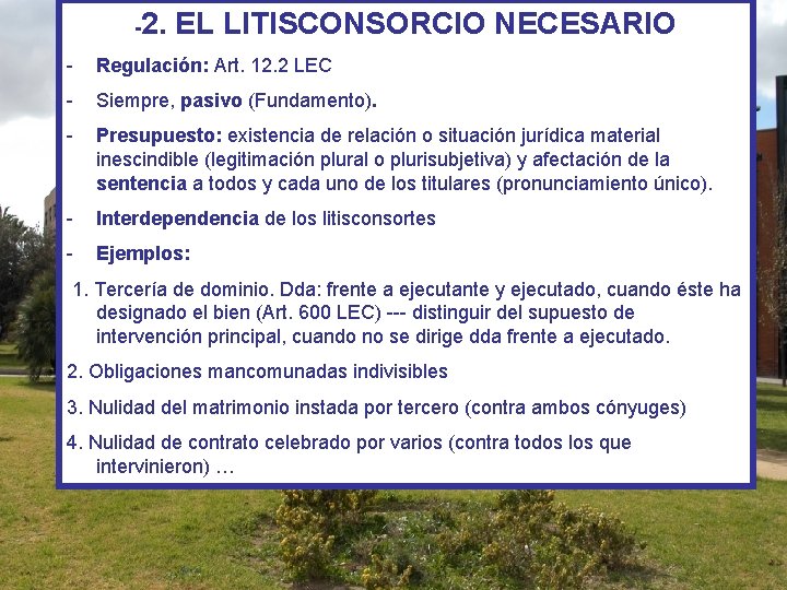 -2. EL LITISCONSORCIO NECESARIO - Regulación: Art. 12. 2 LEC - Siempre, pasivo (Fundamento).