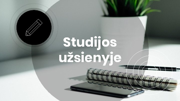 Studijos užsienyje 