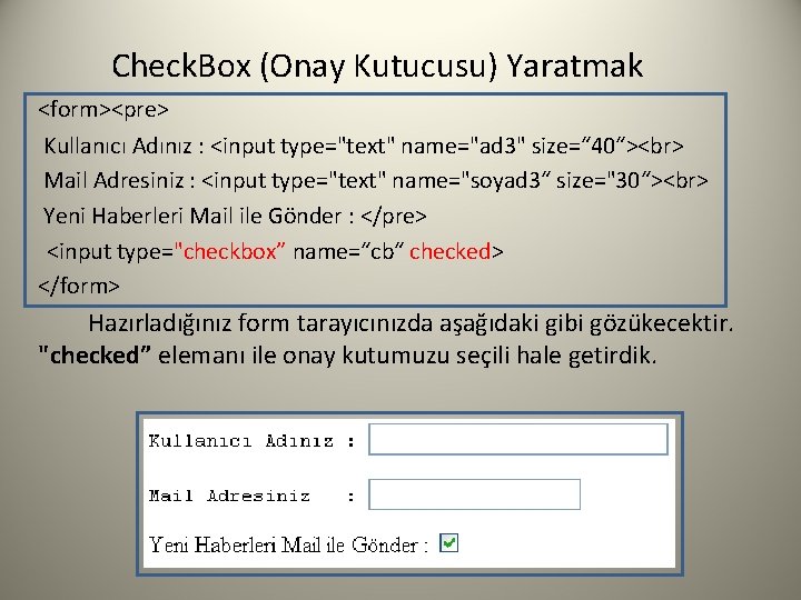 Check. Box (Onay Kutucusu) Yaratmak <form><pre> Kullanıcı Adınız : <input type="text" name="ad 3" size=“