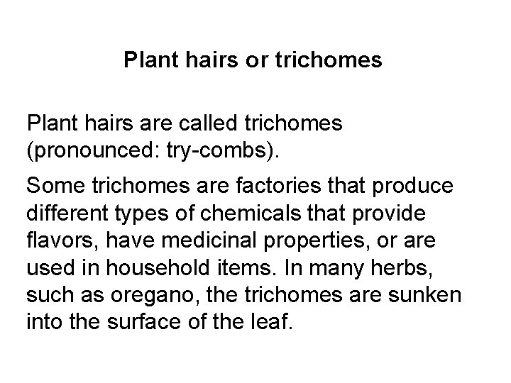 Plant hairs or trichomes Plant hairs are called trichomes (pronounced: try-combs). Some trichomes are