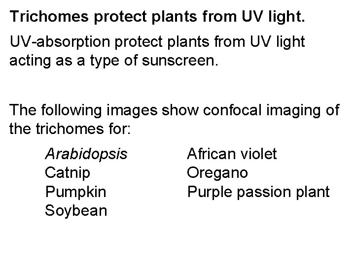 Trichomes protect plants from UV light. UV-absorption protect plants from UV light acting as