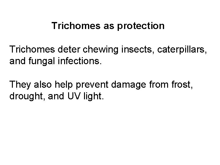 Trichomes as protection Trichomes deter chewing insects, caterpillars, and fungal infections. They also help