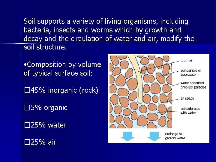 Soil supports a variety of living organisms, including bacteria, insects and worms which by