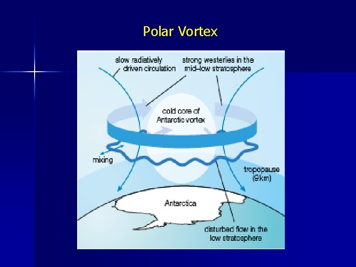 Polar Vortex 