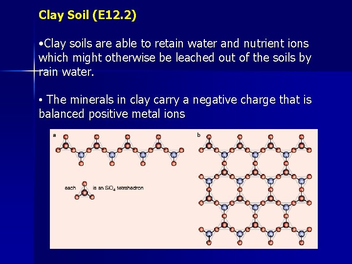 Clay Soil (E 12. 2) • Clay soils are able to retain water and