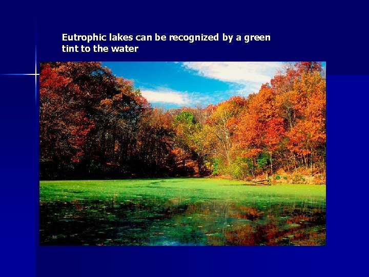 Eutrophic lakes can be recognized by a green tint to the water 