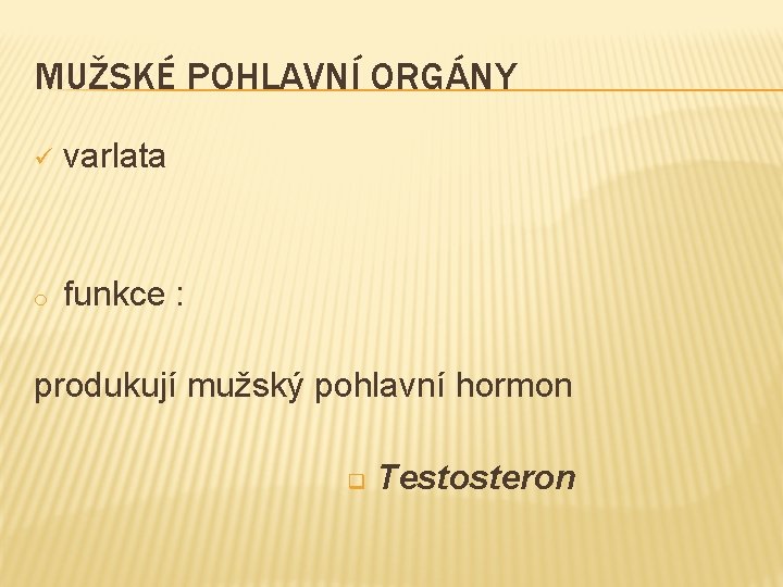 MUŽSKÉ POHLAVNÍ ORGÁNY ü varlata o funkce : produkují mužský pohlavní hormon q Testosteron