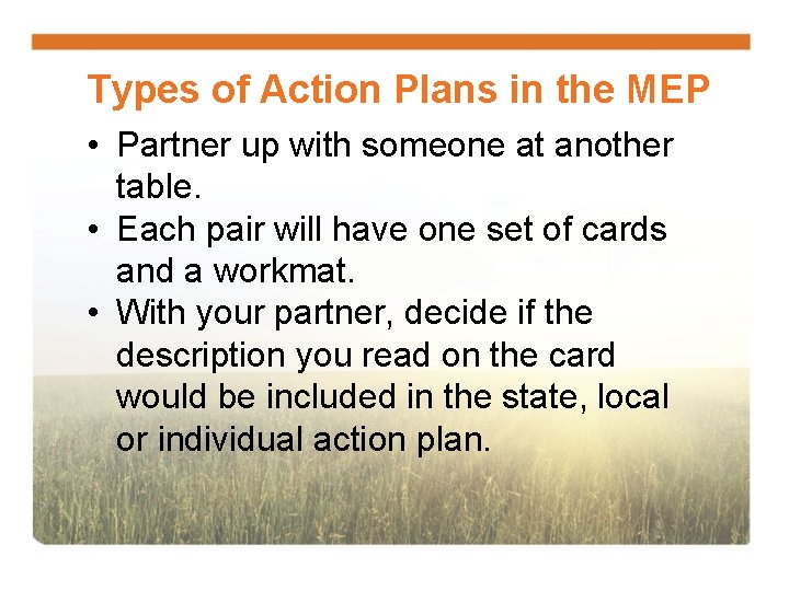 Types of Action Plans in the MEP • Partner up with someone at another