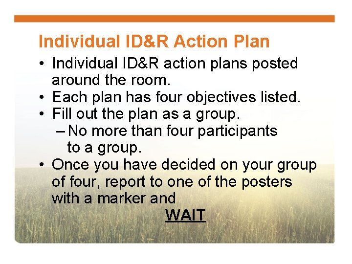 Individual ID&R Action Plan • Individual ID&R action plans posted around the room. •