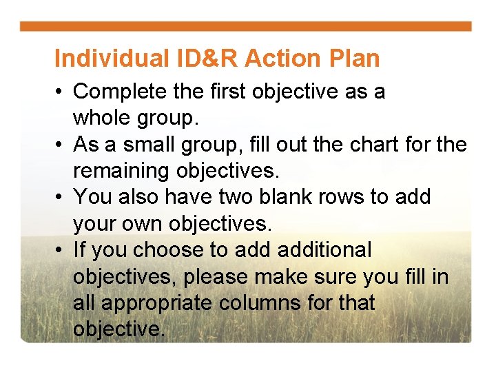 Individual ID&R Action Plan • Complete the first objective as a whole group. •