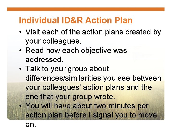 Individual ID&R Action Plan • Visit each of the action plans created by your