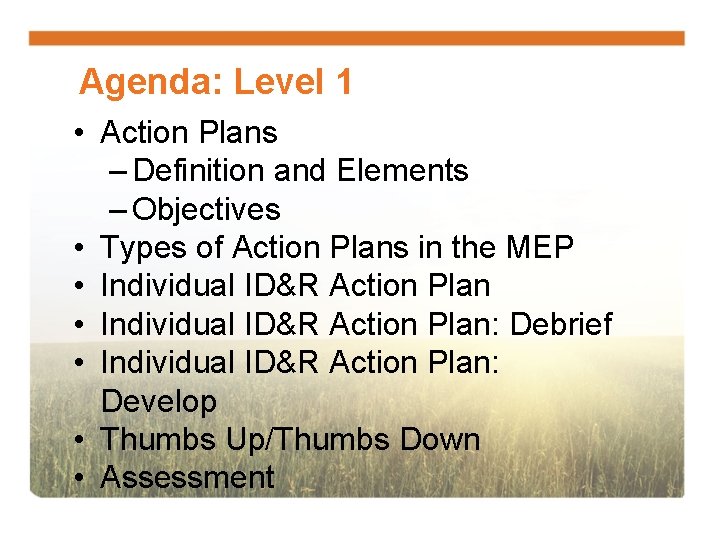 Agenda: Level 1 • Action Plans – Definition and Elements – Objectives • Types