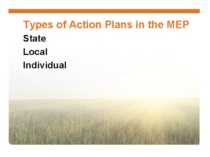 Types of Action Plans in the MEP State Local Individual 