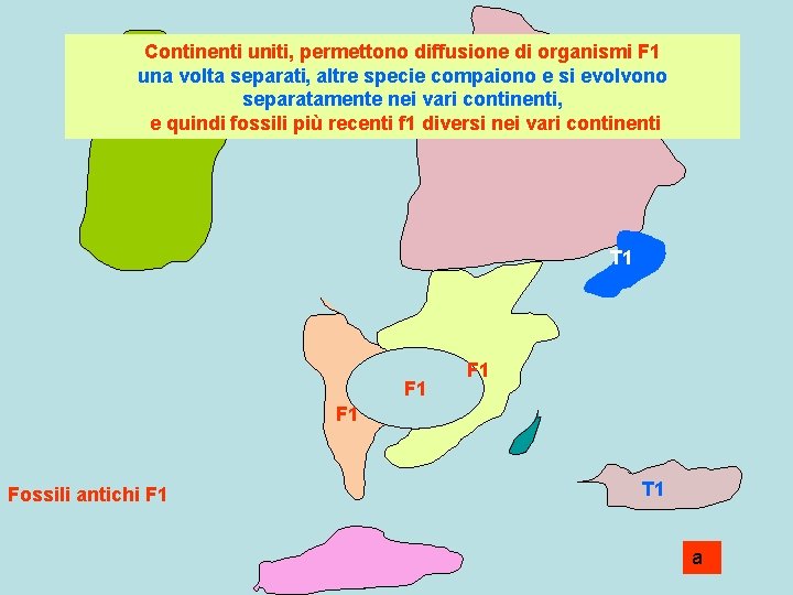 Continenti uniti, permettono diffusione di organismi F 1 una volta separati, altre specie compaiono