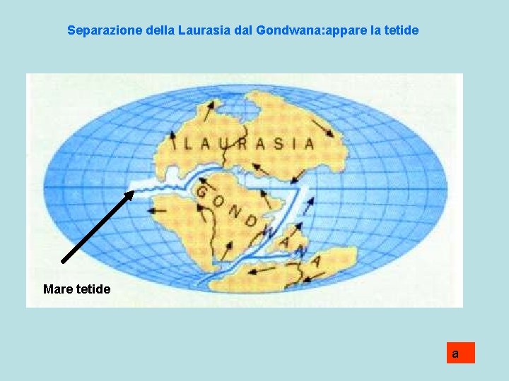 Separazione della Laurasia dal Gondwana: appare la tetide Mare tetide a 