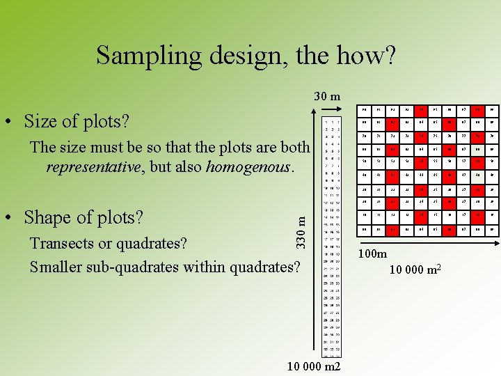 Sampling design, the how? 30 m • Size of plots? • Shape of plots? Sampling design, the how? 30 m • Size of plots? • Shape of plots?