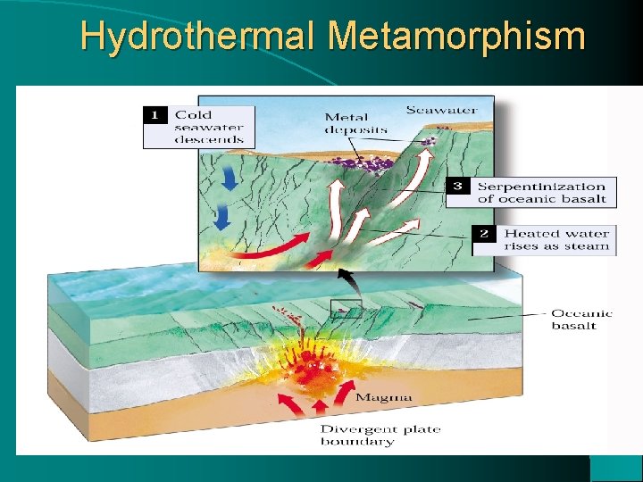 Hydrothermal Metamorphism 