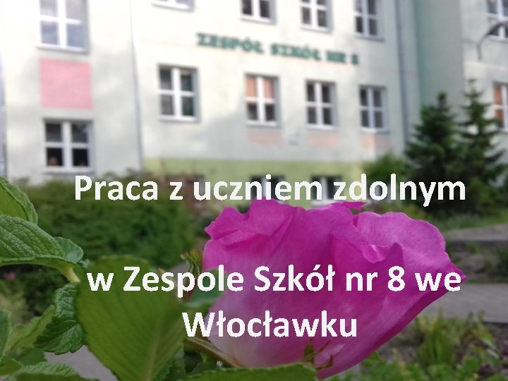 Praca z uczniem zdolnym w Zespole Szkół nr 8 we Włocławku 