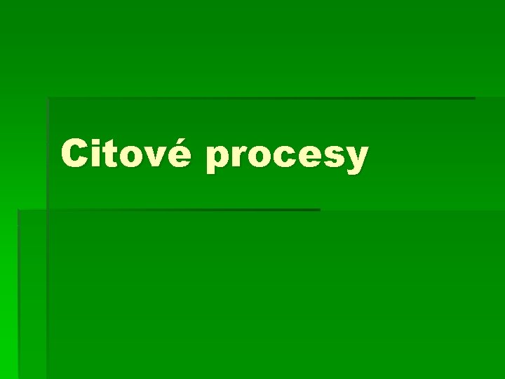 Citové procesy 