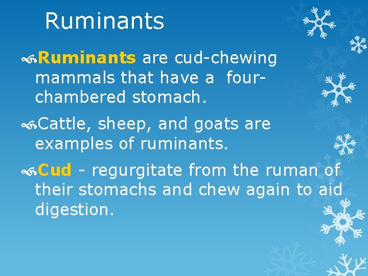 Ruminants are cud-chewing mammals that have a fourchambered stomach. Cattle, sheep, and goats are