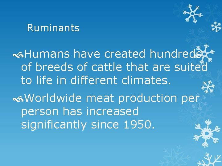 Ruminants Humans have created hundreds of breeds of cattle that are suited to life