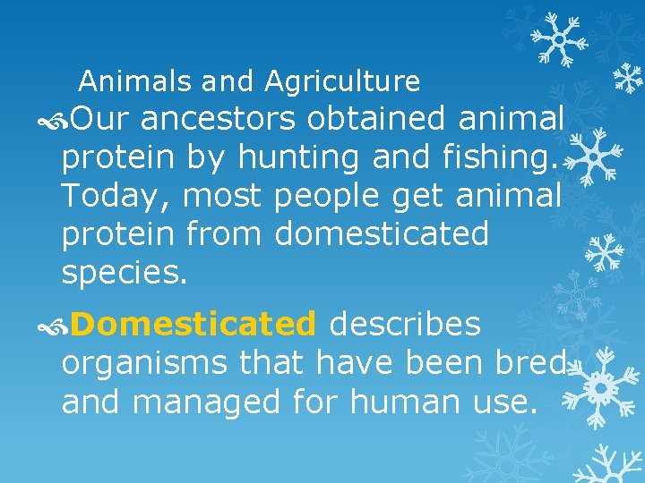 Animals and Agriculture Our ancestors obtained animal protein by hunting and fishing. Today, most