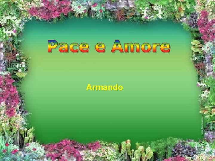 Pace e Amore Armando 
