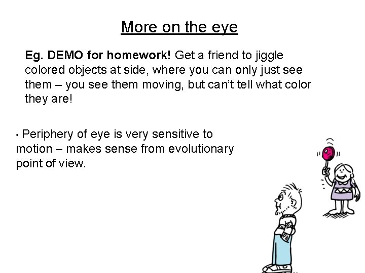 More on the eye Eg. DEMO for homework! Get a friend to jiggle colored
