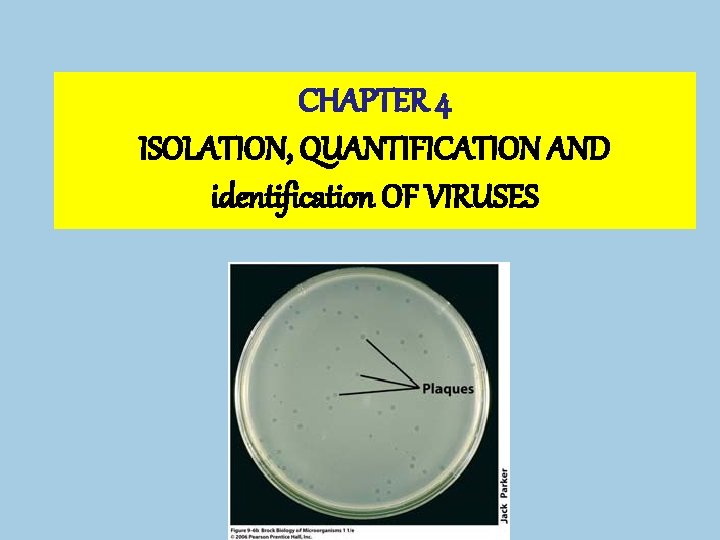 CHAPTER 4 ISOLATION, QUANTIFICATION AND identification OF VIRUSES 