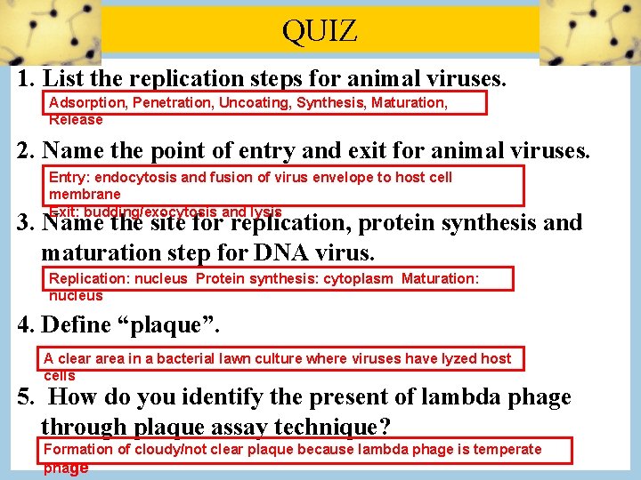 QUIZ 1. List the replication steps for animal viruses. Adsorption, Penetration, Uncoating, Synthesis, Maturation,