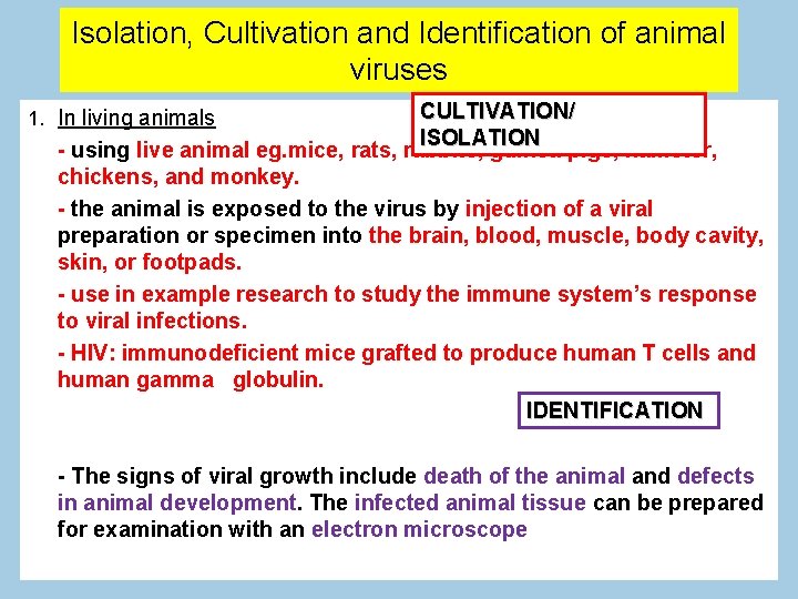 Isolation, Cultivation and Identification of animal viruses CULTIVATION/ ISOLATION - using live animal eg.