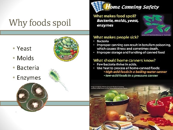  • Yeast • Molds • Bacteria • Enzymes http: //homefoodpreservation. usu. edu Why