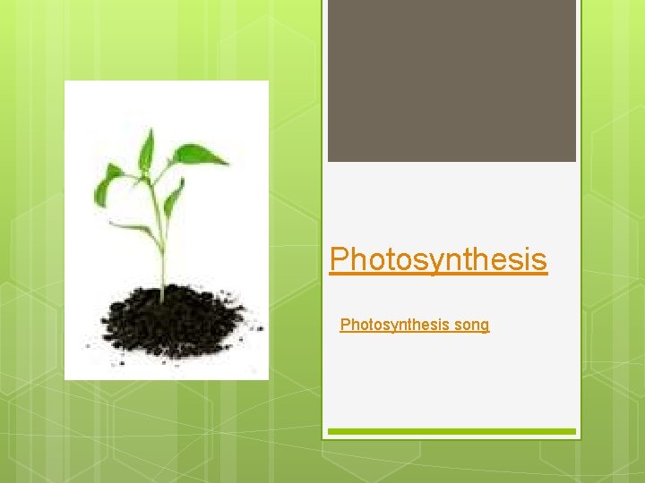 Photosynthesis song 