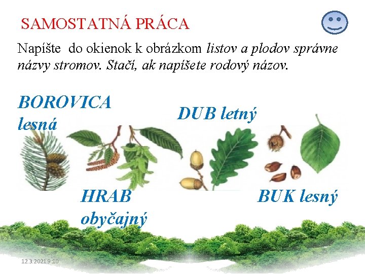 SAMOSTATNÁ PRÁCA Napíšte do okienok k obrázkom listov a plodov správne názvy stromov. Stačí,