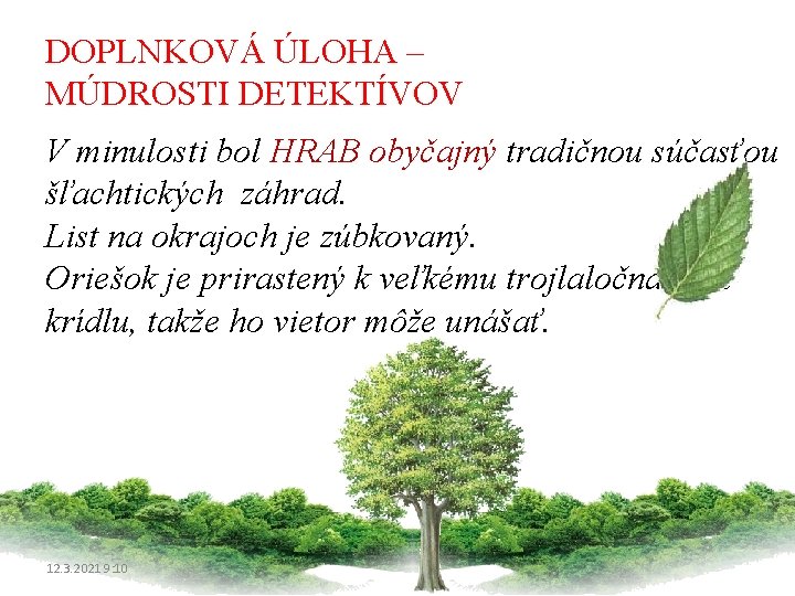 DOPLNKOVÁ ÚLOHA – MÚDROSTI DETEKTÍVOV V minulosti bol HRAB obyčajný tradičnou súčasťou šľachtických záhrad.