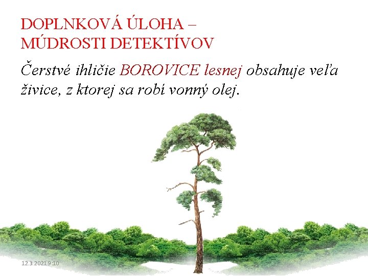 DOPLNKOVÁ ÚLOHA – MÚDROSTI DETEKTÍVOV Čerstvé ihličie BOROVICE lesnej obsahuje veľa živice, z ktorej