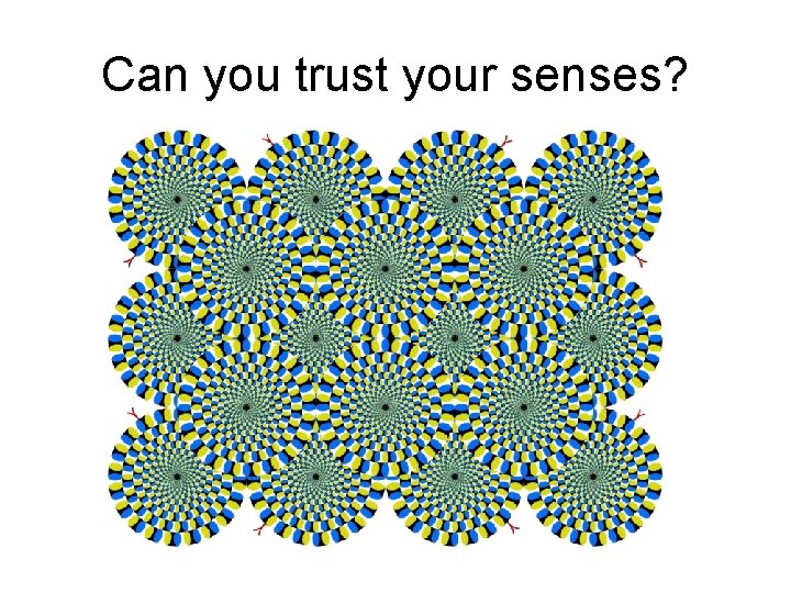 Can you trust your senses? 