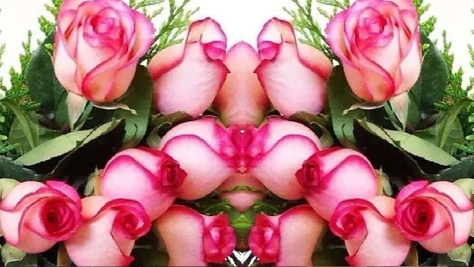 Hijo: Pero. . . ¡Es que me asusto de la oscuridad! 