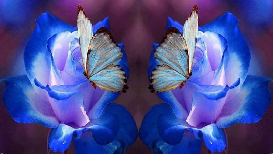 Hija: ¡Ay!, que los guijarros herirán mis pies. Madre: Nunca. Con mis uñas los