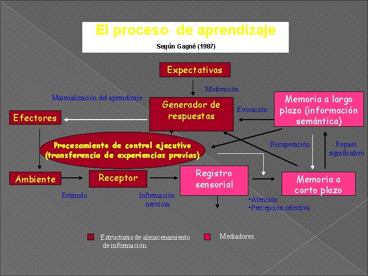 El proceso de aprendizaje Según Gagné (1987) Expectativas Motivación Materialización del aprendizaje Efectores Generador