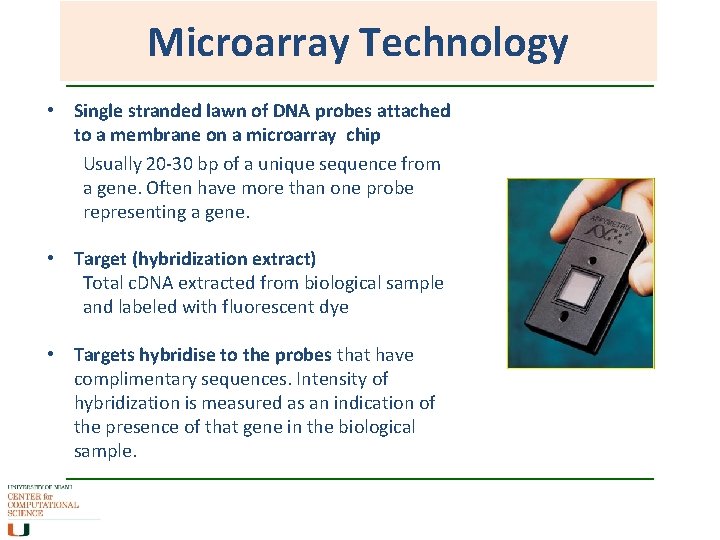 Microarray Technology • Single stranded lawn of DNA probes attached to a membrane on