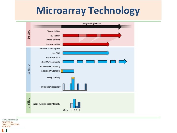 Microarray Technology 