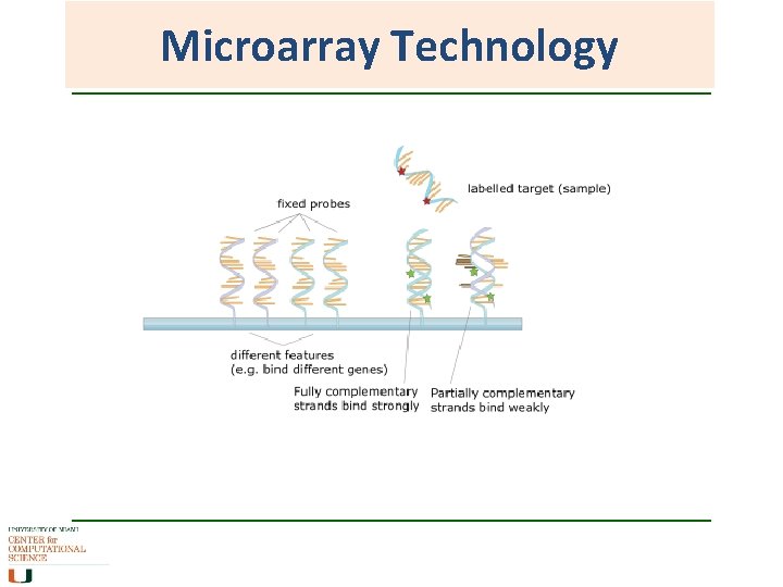 Microarray Technology 