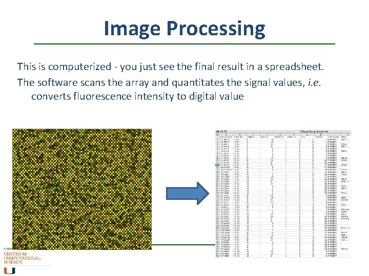 Image Processing This is computerized - you just see the final result in a