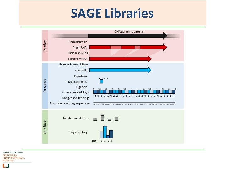 SAGE Libraries 